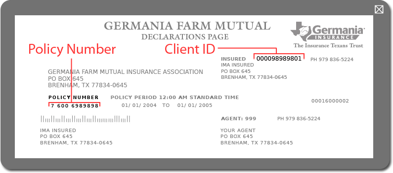 Declarations Page Sample Image